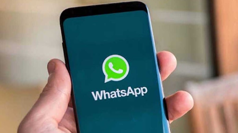 বীরগঞ্জে পটল চাষে কৃষকের বাজিমাত